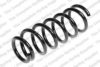 ROC CS7319 Coil Spring